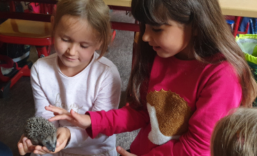 Igelbesuch