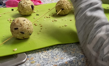 SACHUNTERRICHT ZUM ANFASSEN