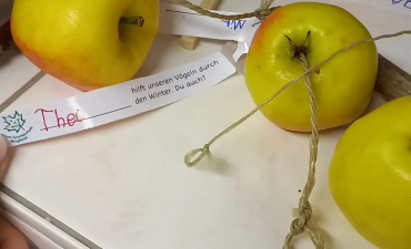 Schuljahr 2021 / 2022