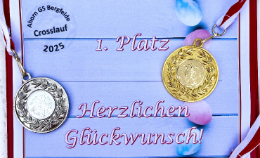 Schulcrosslauf