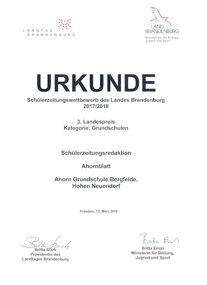 Urkunde Schülerzeitungswettbewerb