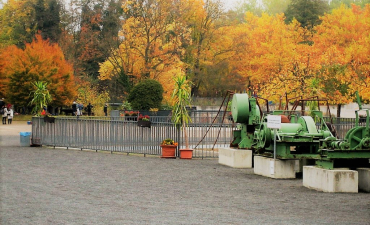 Impressionen aus dem Familiengarten Eberswalde_3